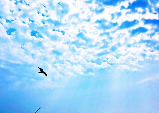 说明: 微信图片_20181116091705